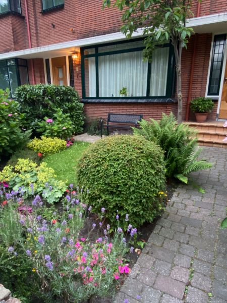 Backyard Landscaping Service