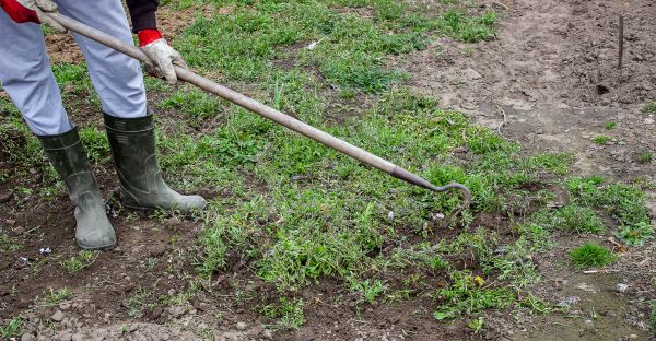 Garden Spring Cleaning - Garden Spring Cleaning Auburn, Washington
