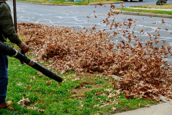 Fall Yard Cleanup Service