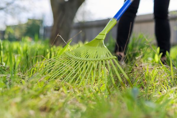 Fall Lawn Cleanup Service