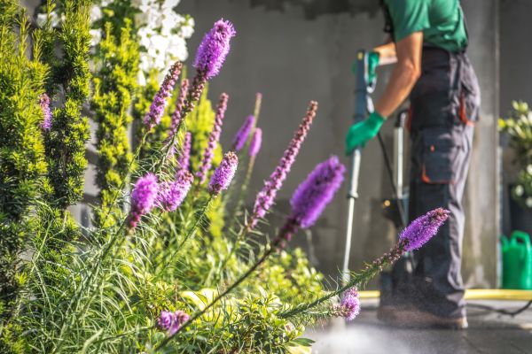 Garden Cleanup