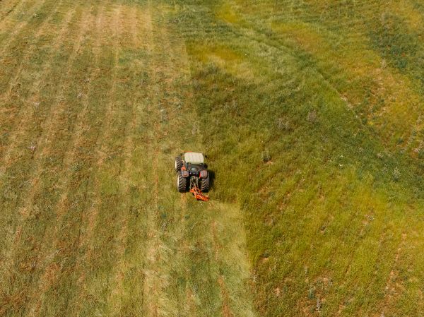 Hilly Lawn Mowing