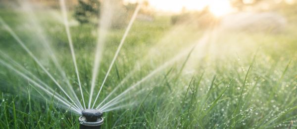 Grass Sprinkler Installation