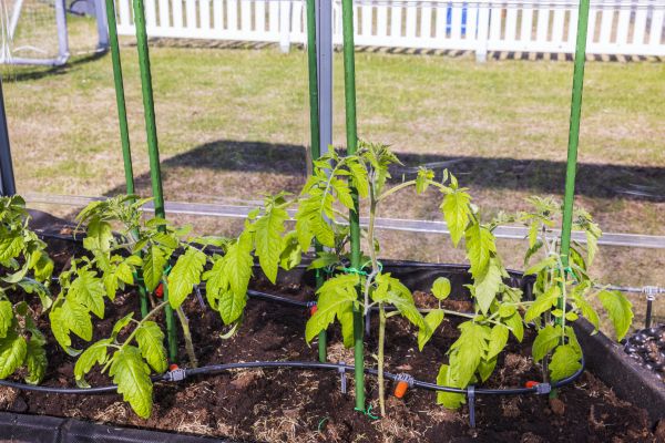 Greenhouse Watering Repair