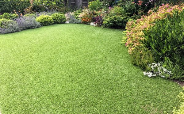 Lawn Care Service