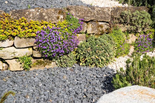 Landscaping Rocks Installation - Landscaping Rocks Installation Augusta, Georgia