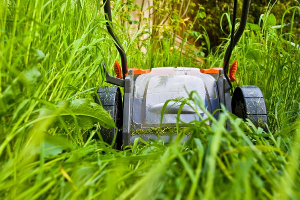 Tall Grass Mowing Service - Tall Grass Mowing Service Midlothian, Virginia