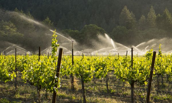 Agricultural Watering