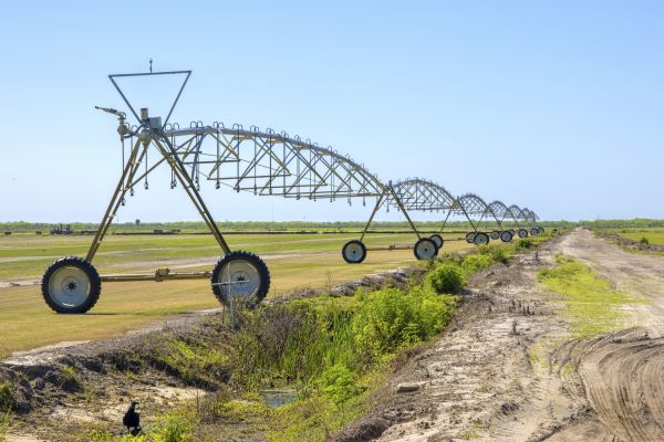 Drip Irrigation Repair