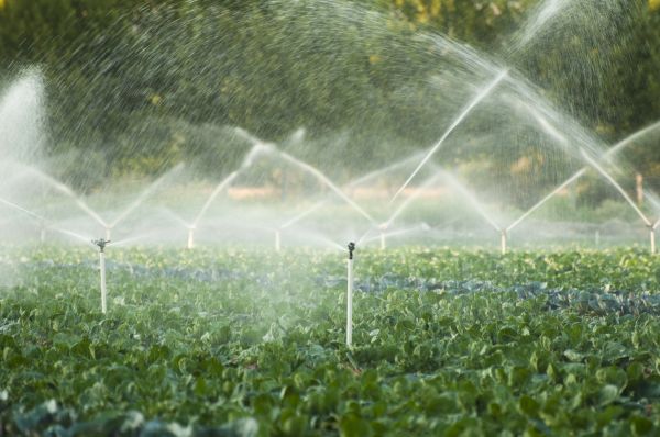 Plantation Irrigation Service - Plantation Irrigation Service Winter Haven, Florida