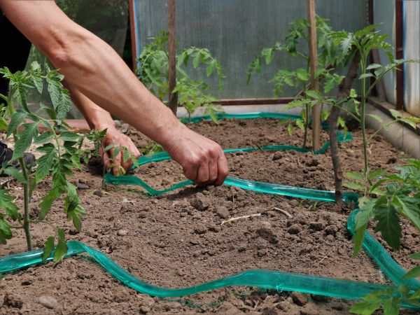Greenhouse Irrigation Repair - Greenhouse Irrigation Repair Orange County, Florida