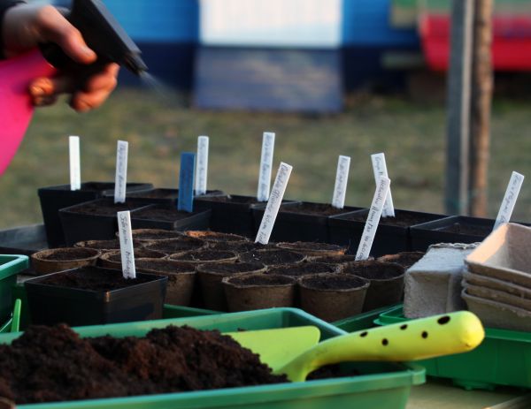 Vegetation Seeding
