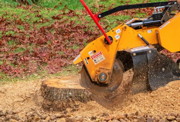 Stump Cutting