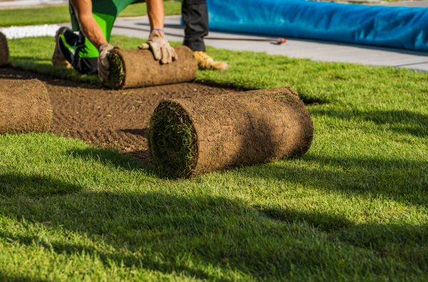 Bahia Sod Installation
