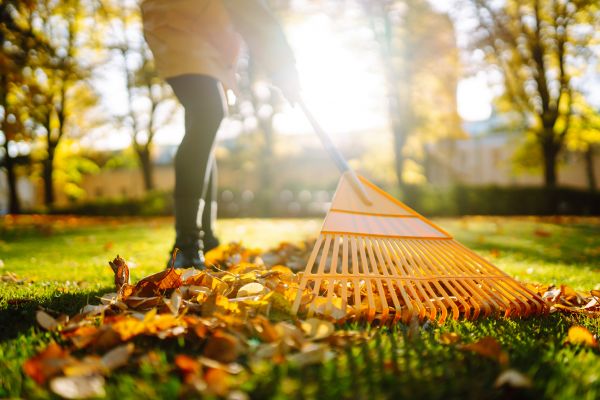 Garden Leaf Clearing