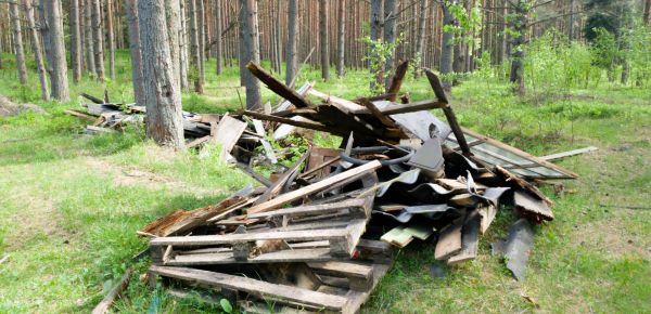 Fall Lawn Cleanup Service