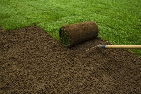 Bahia Sod Installation