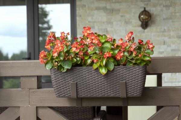 Terrace Gardening - Terrace Gardening Grand Rapids, Michigan