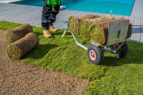 Bahia Sod Installation