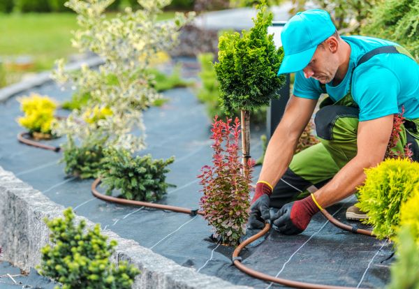 Commercial Sprinkler Repair