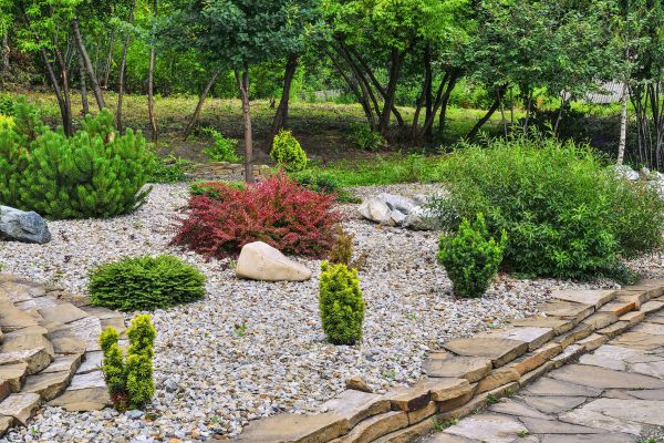 Backyard Landscaping Service