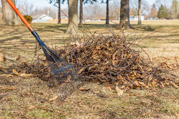 Backyard Cleaning