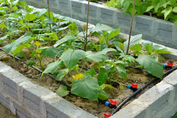 Garden Bed Installation