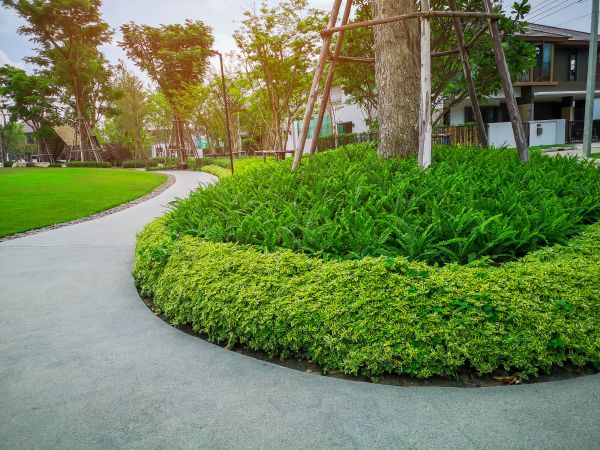 Concrete Hardscaping