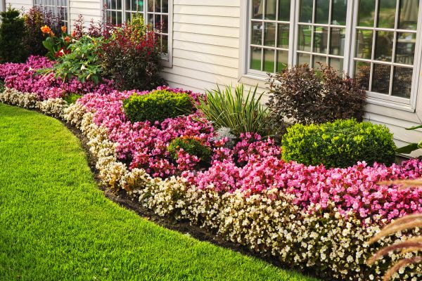 Floral Landscaping