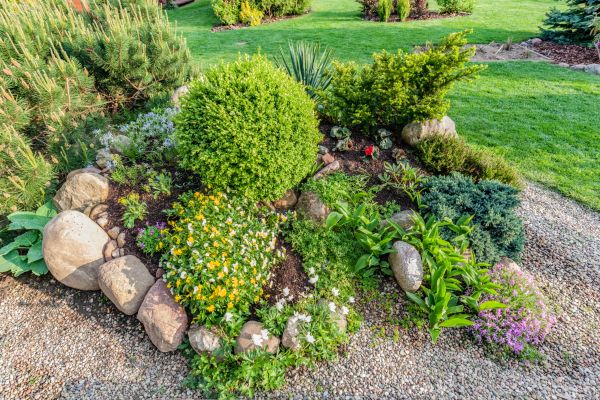 Landscape Reconstruction