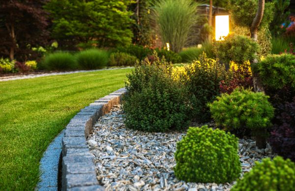 Garden Border Service