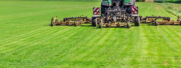Industrial Grass Cutting - Industrial Grass Cutting Slidell, Louisiana