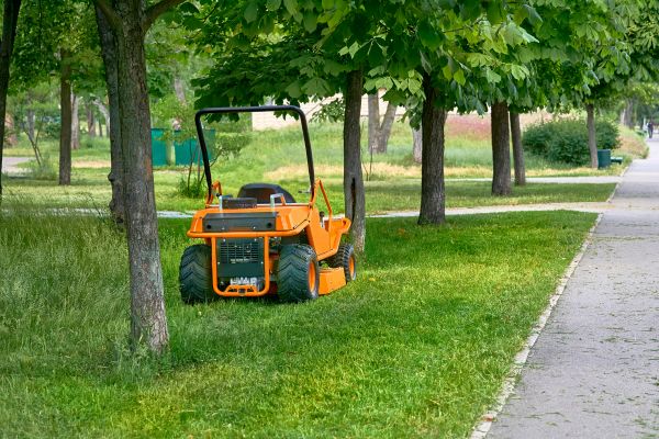 Lawn Cutting Service