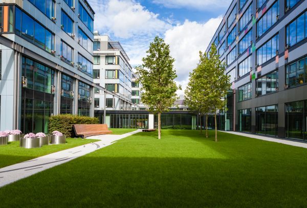 Business Grass Cutting