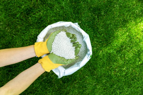Commercial Lawn Fertilizing