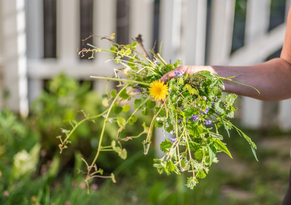 Crabgrass Prevention