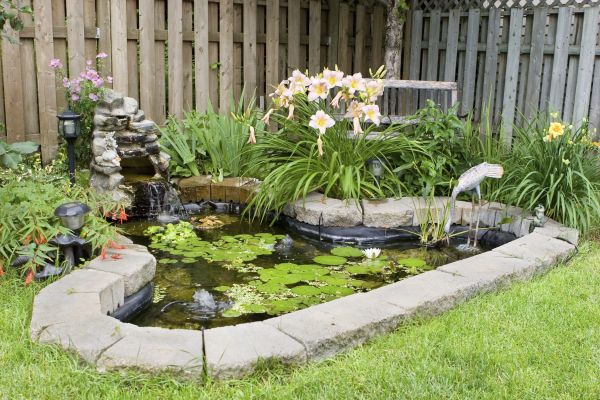 Backyard Pond Installation