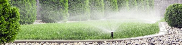 Drip Irrigation Installation
