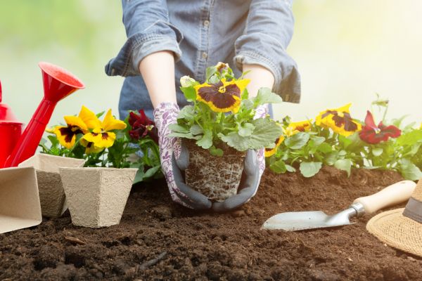 Floral Landscaping