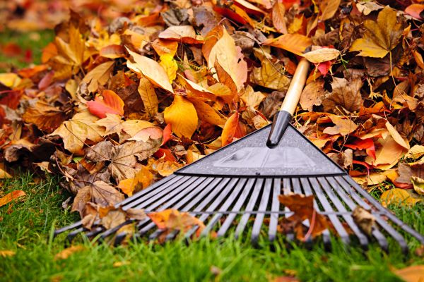 Spring Garden Cleanup