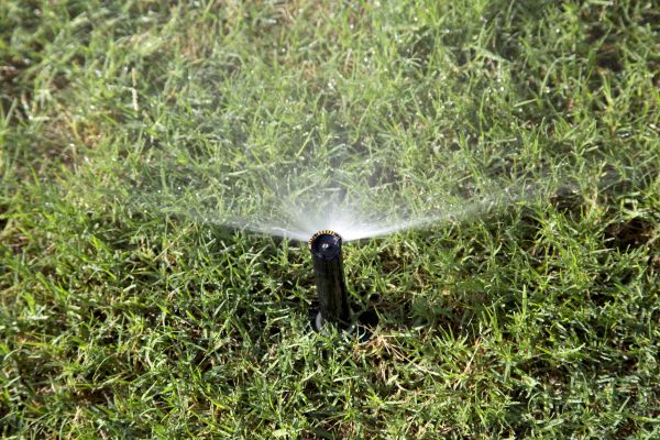 Broken Sprinkler Repair