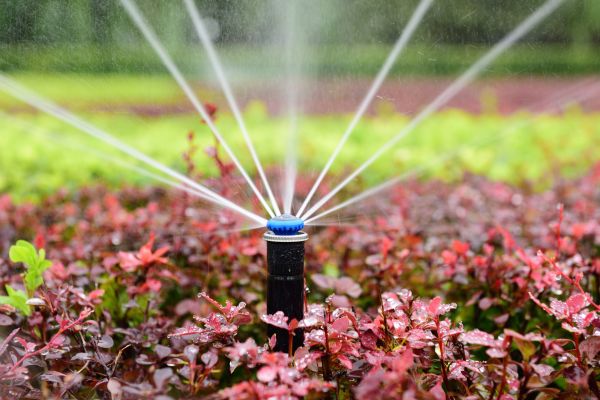 Garden Sprinkler Installation