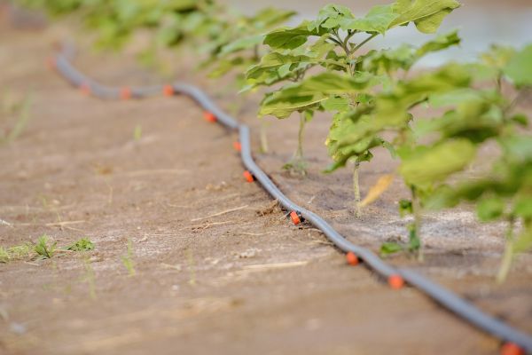 Ground Irrigation Installation - Ground Irrigation Installation Nixa, Missouri