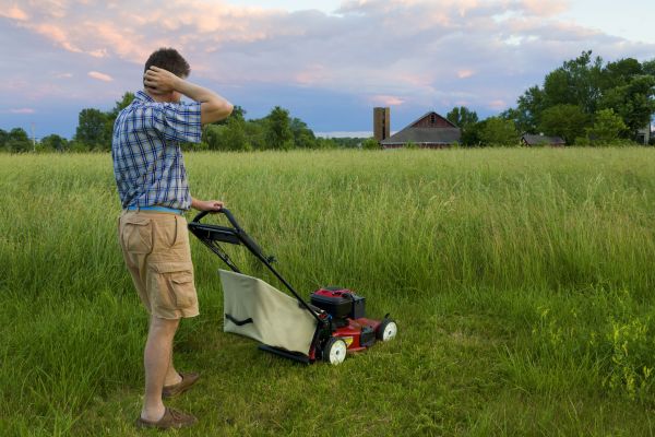 Grass Trimming Service