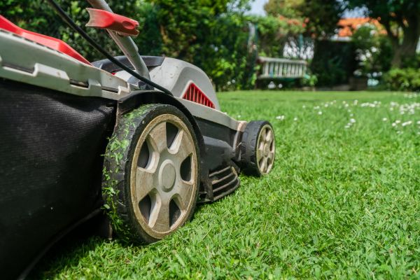 Grass Cutting Service