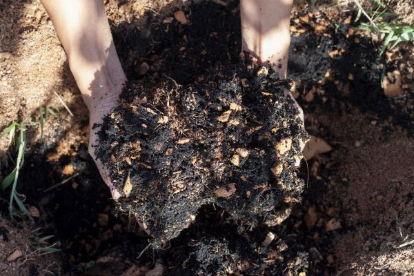 Organic Mulch Installation - Organic Mulch Installation Boise, Idaho
