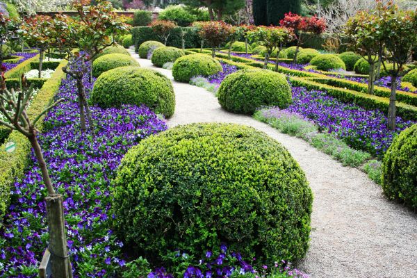 Grass Care Service