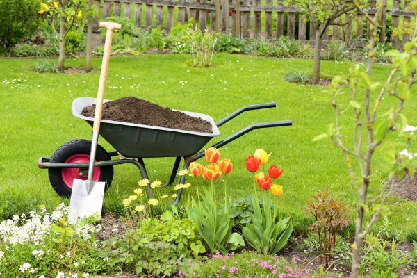 Fall Lawn Renovation