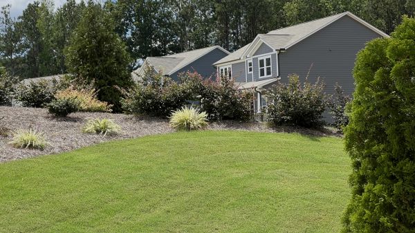 Bermuda Grass Yard Work