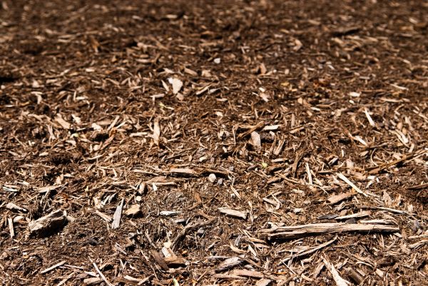 Apartment Mulching